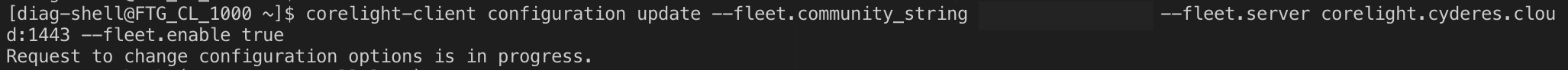 corelight4